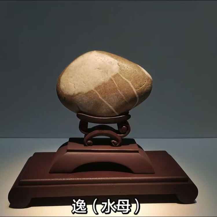 天然画面动物奇石收藏精品